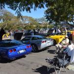 VetsandVettes_0031 (November 09, 2013)